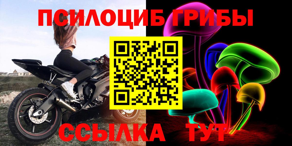 наркошоп  Вход с VPN  Краснодар  Псилоцибиновые грибы Psilocybine cubensis 