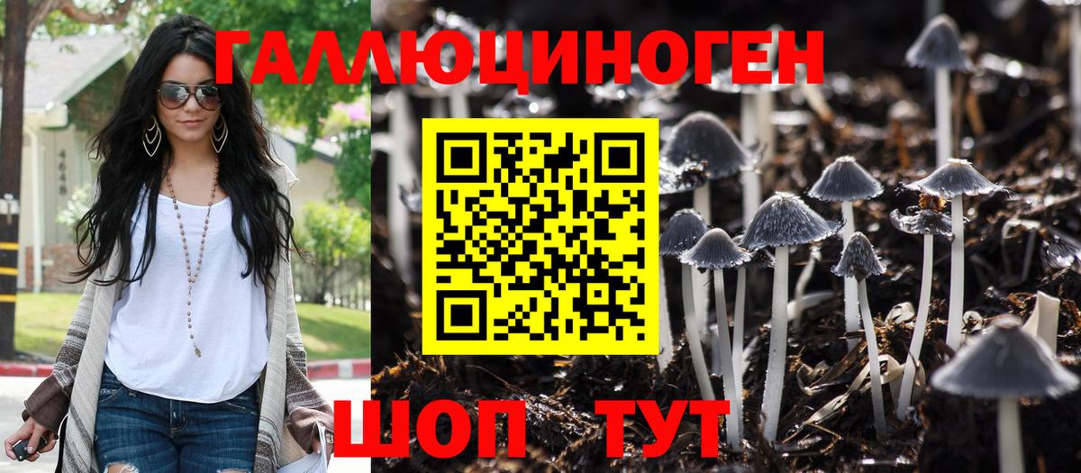 Псилоцибиновые грибы прущие грибы Краснодар